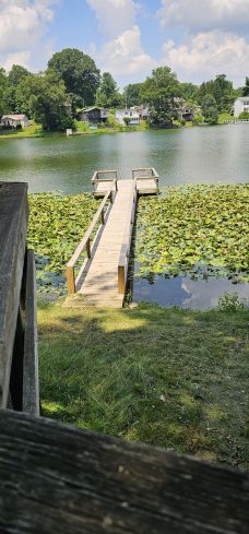 Before & After Dock Painting in Florence, KY (1)